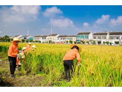 苏州三六六研学旅行户外拓展活动挖红薯割稻子探索体验课报名中图2
