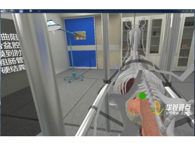 马直肠检查VR实训考核平台_动物医学虚拟仿真_广州华锐互动图2