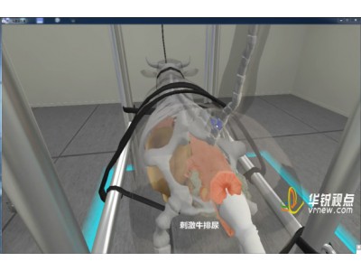 马直肠检查VR实训考核平台_动物医学虚拟仿真_广州华锐互动图3