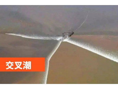 苏州青少年三六六社会实践探索钱塘江大潮自然奥秘研学旅行活动图2