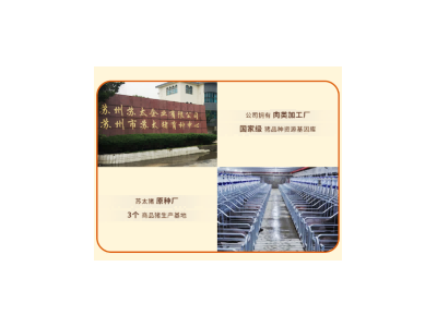 苏太肉兴乡苏州太湖本土黑猪肉年货佳品精选套餐一图3
