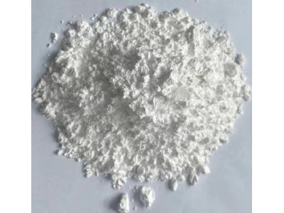 布吕格曼 BRUGGOLEN H10图2